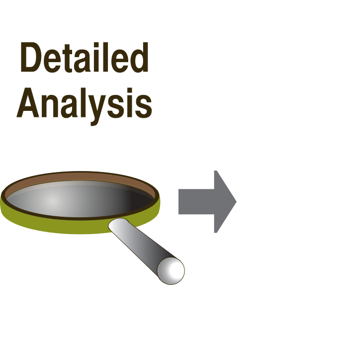 Detailed Analysis Icon