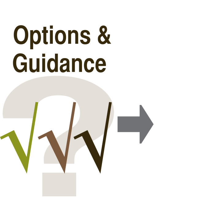 Options & Guidance Icon